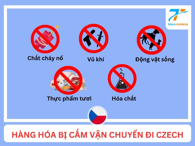 hang hoa bi cam gui di cong hoa czech