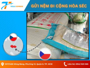 gui nem di cong hoa sec