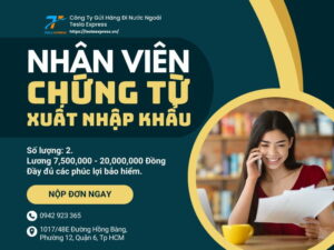 tuyen dung nhan vien chung tu xuat nhap khau tesla express