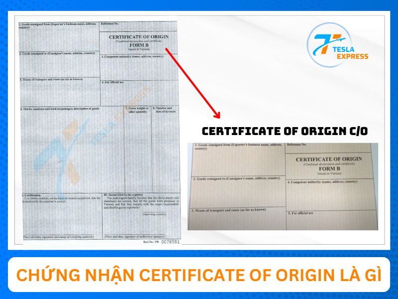 tim hieu Chung nhan Certificate of Origin C/O la gi
