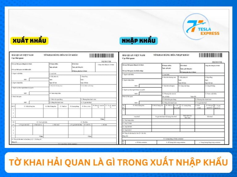 Tờ khai hải quan là gì nội dung cần có và cách khai báo