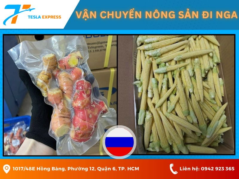 van-chuyen-nong-san-di-nga