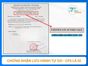 cfs la chung nhan gi