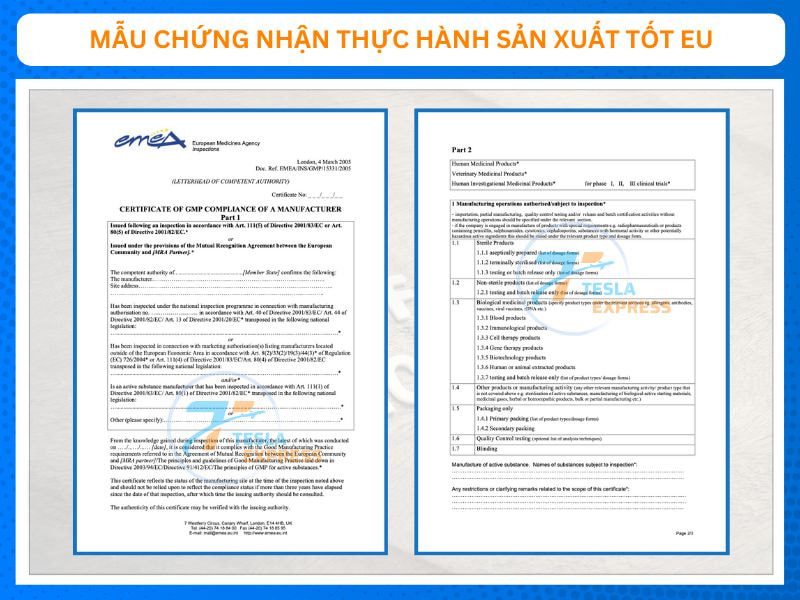 mau chung nhan tieu chuan eu gmp la gi