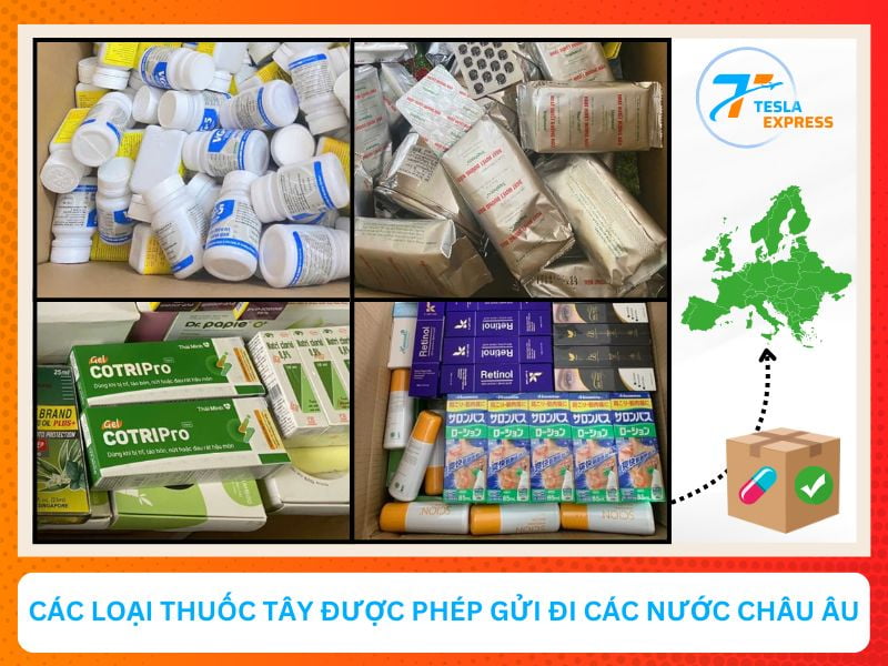 cac loai thuoc tay duoc phep gui sang chau au