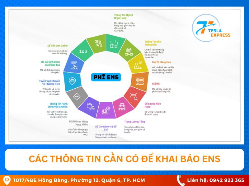 cac thong tin can phai khai bao ens