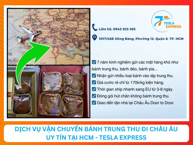 dich vu van chuyen banh trung thu sang chau au uy tin tesla express