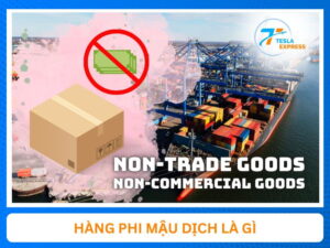 hang phi mau dich la gi