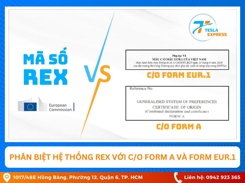 phat biet ma so rex voi co form a va co form eur1