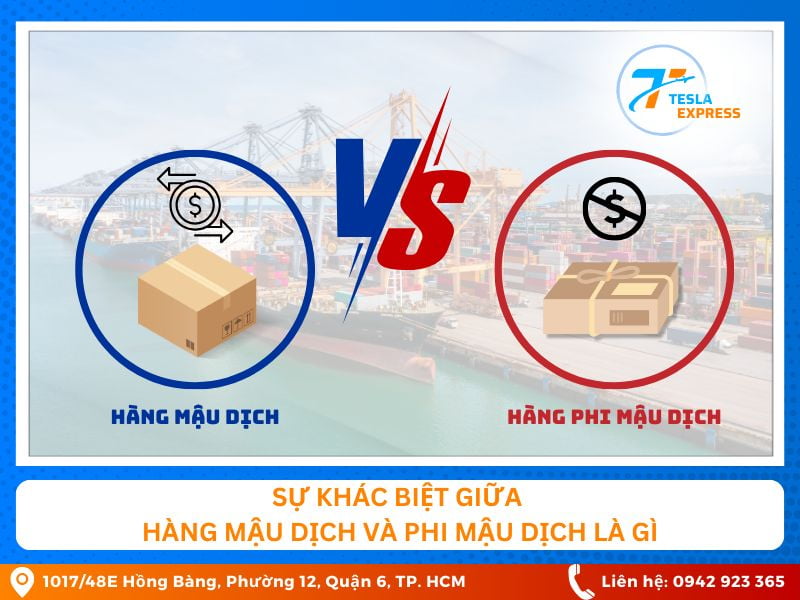 su khac biet giua hang mau dich va hang phi mau dich