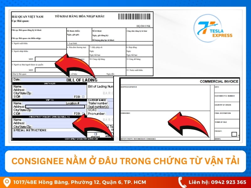 vi tri cua consignee trong chung tu van tai quoc te
