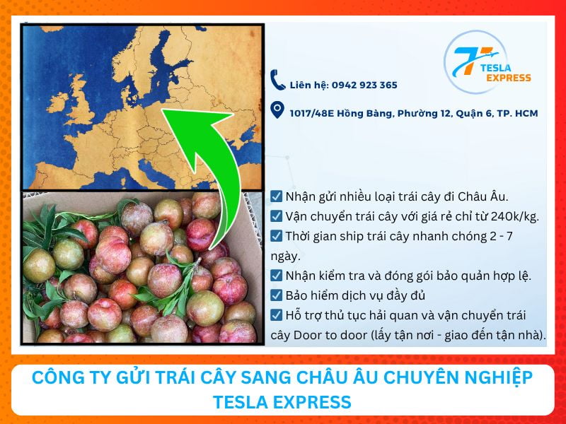 cong ty dich vu gui trai cay sang chau au uy tin tesla express