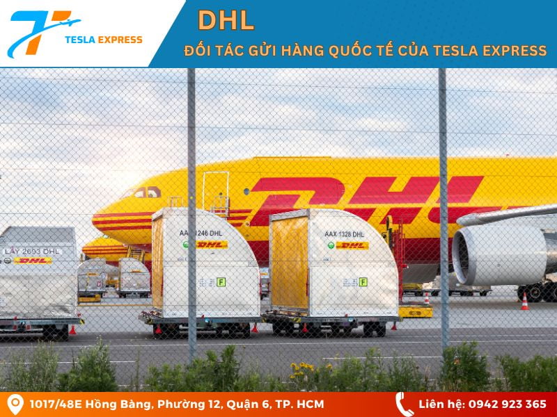 DHL la gi
