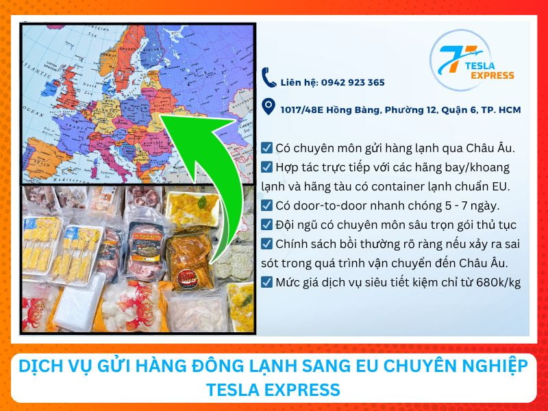 dich vu van chuyen hang hoa dong lanh sang chau au uy tin tesla express