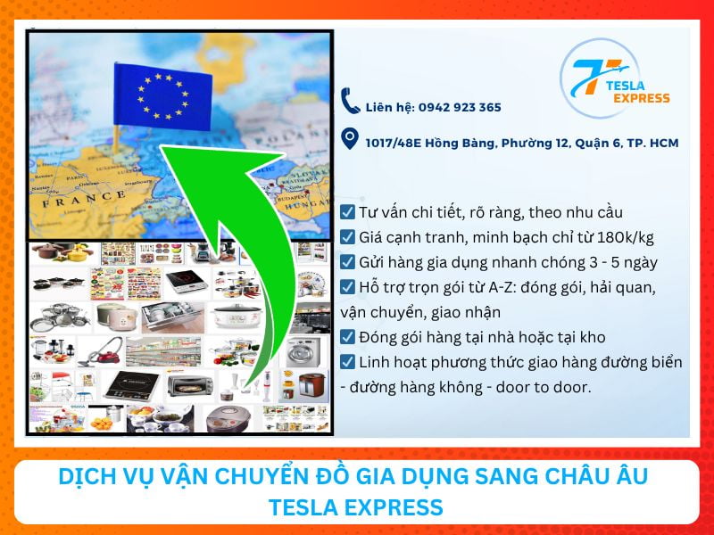 dich vu van chuyen do dung gia dinh sang chau au tesla express