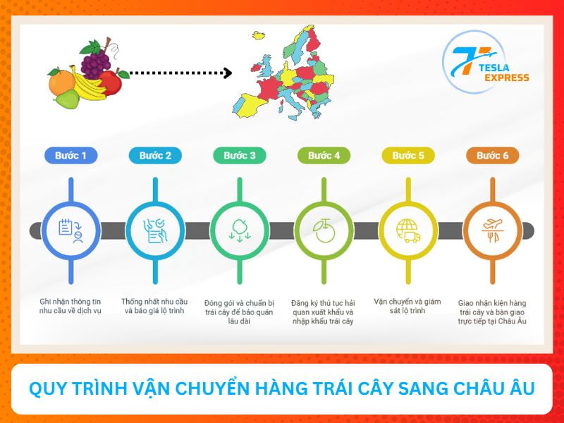 quy trinh van chuyen trai cay tu viet nam sang chau au