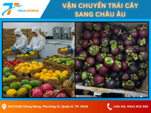 van chuyen trai cay sang chau au
