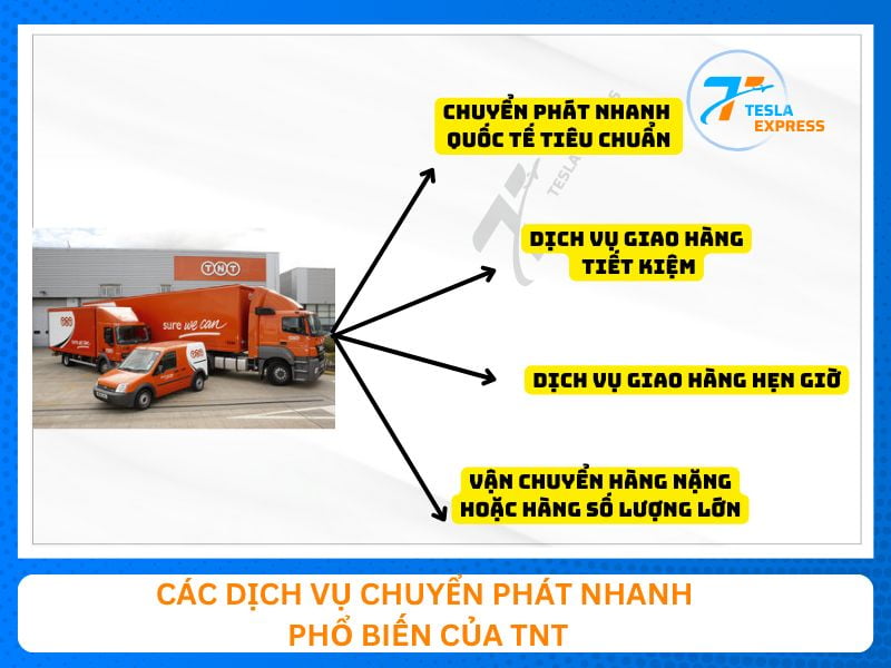 Các dịch vụ chuyển phát nhanh phổ biến của TNT