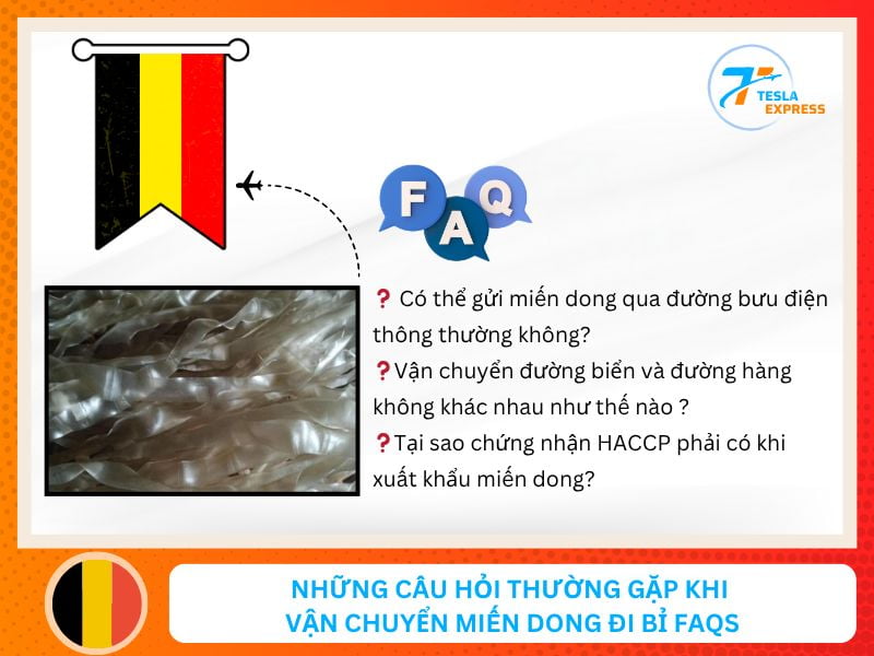 nhung cac hoi thuong gap ve dich vu gui mien dong di bi gia re faqs