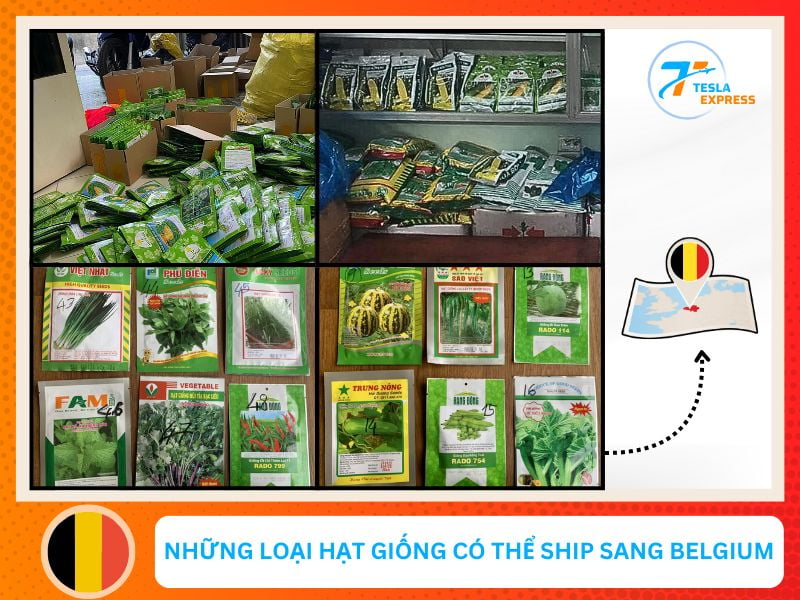 cac loai hat giong cay trong thuong duoc gui di bi