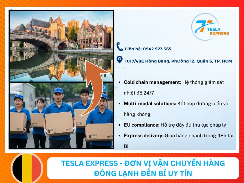 Tesla Express - Đơn vị vận chuyển hàng đông lạnh đến Bỉ uy tín