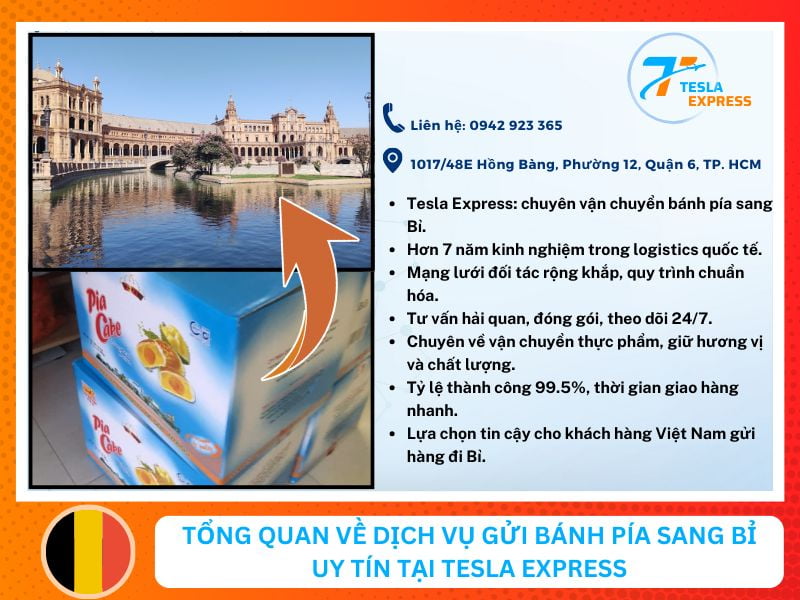 Dịch vụ gửi bánh pía sang Bỉ tại Tphcm