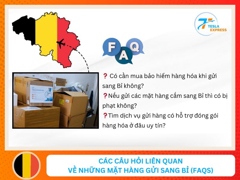 cac cau hoi lien quan ve cac mat hang thuong duoc gui sang bi faqs