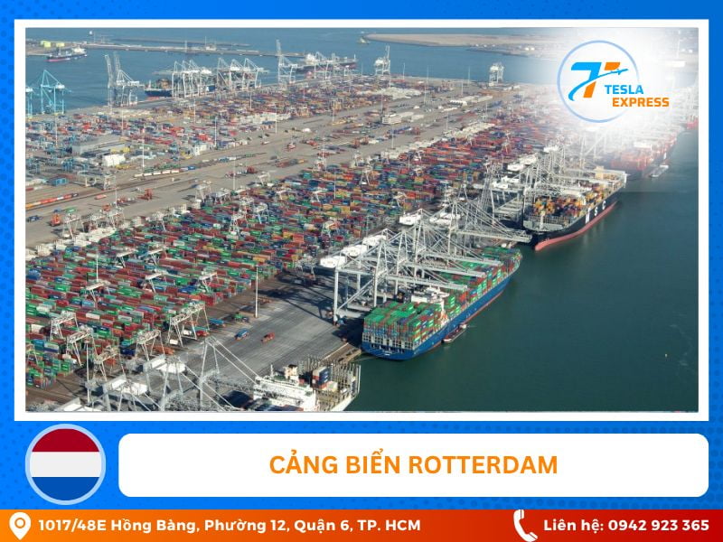 cang bien rotterdam