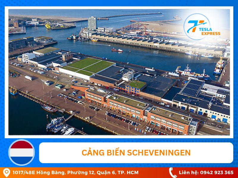 cang bien scheveningen