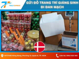 gui do trang tri giang sinh di dan mach