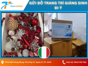 gui do trang tri giang sinh di y