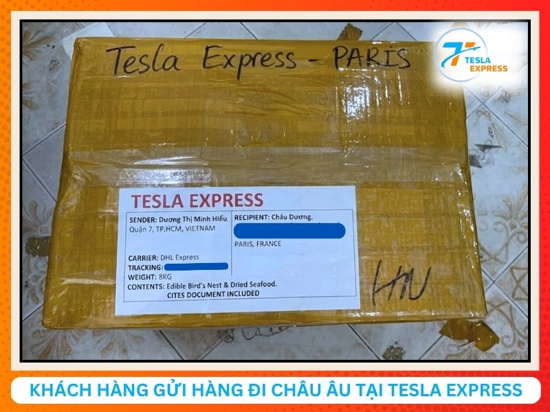 khach gui hang di chau au tai tesla express