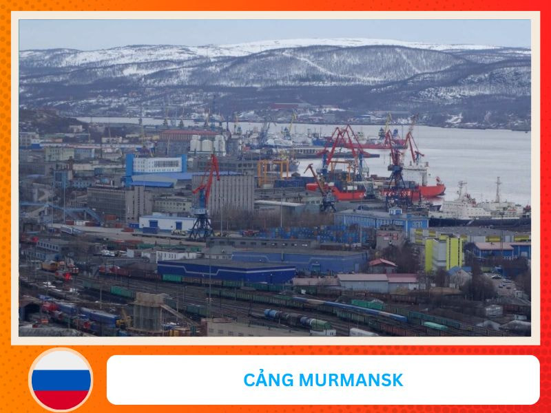 cang Murmansk