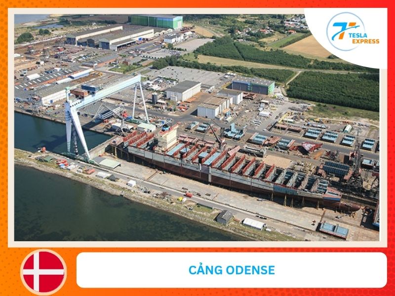 cang Odense