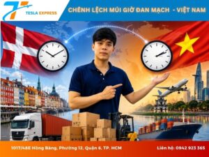 gio dan mach