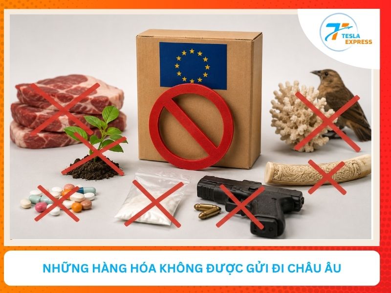 nhung hang hoa khong duoc gui sang chau au